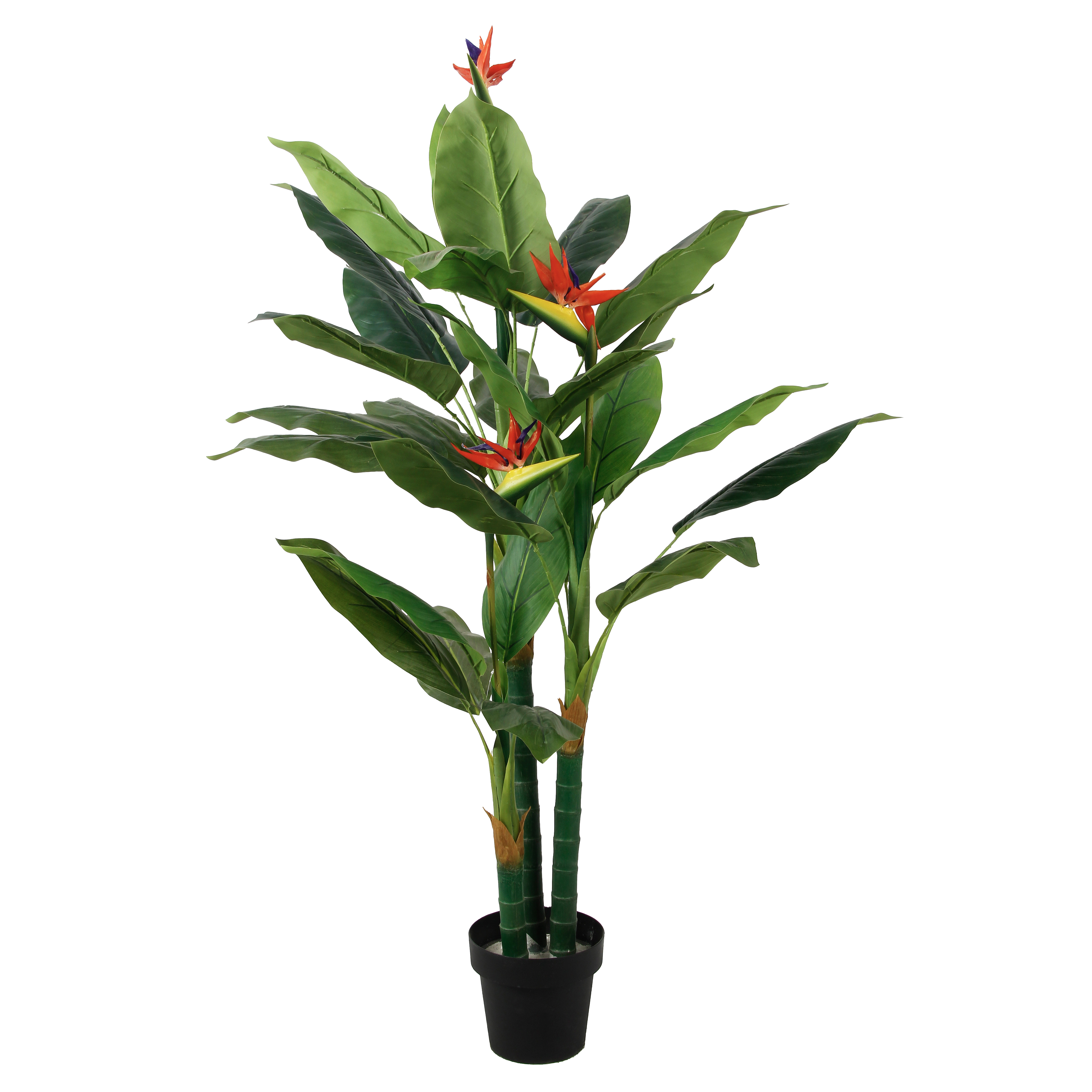 Paradiesvogelpflanze Strelitzie Kunstpflanze 150 cm Künstliche Strelitzie Kunstpflanze Grün mit Blüte Paradiesvogelblume