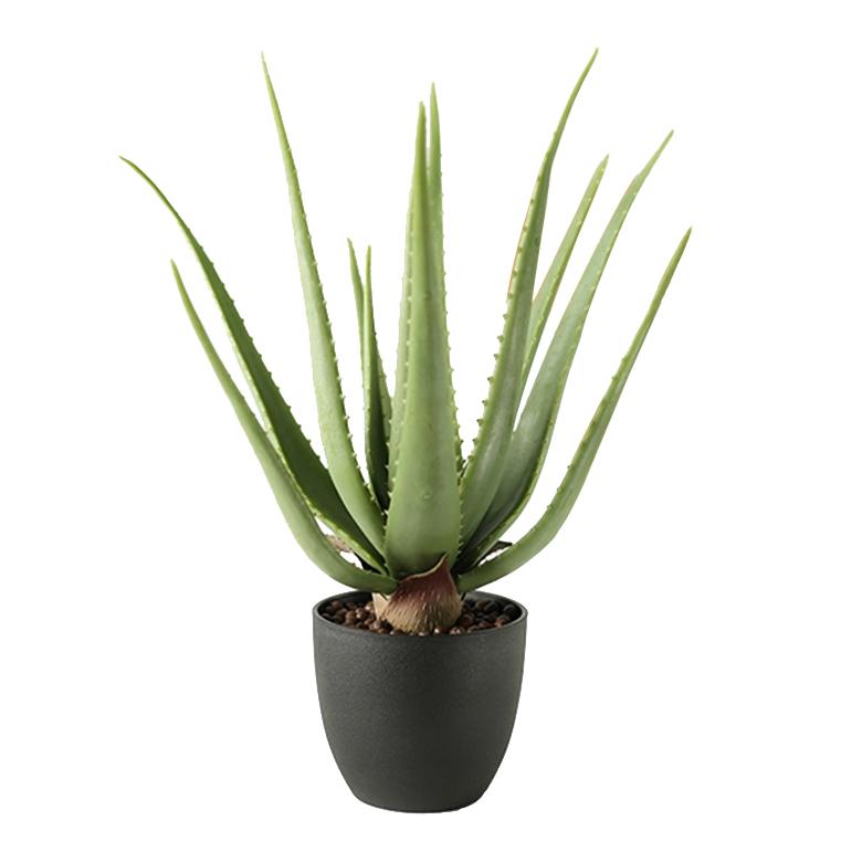 Aloe Vera Pflanze Kunstpflanze 45 cm