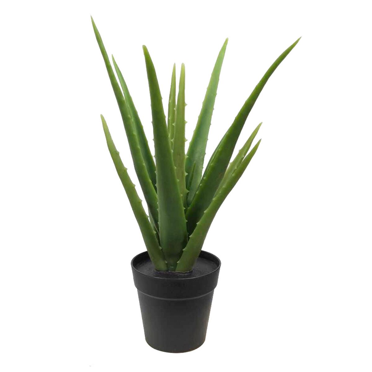 Aloe Vera Pflanze Kunstpflanze 35 cm